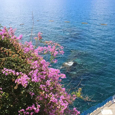 Aparthotel Madeira Old Town